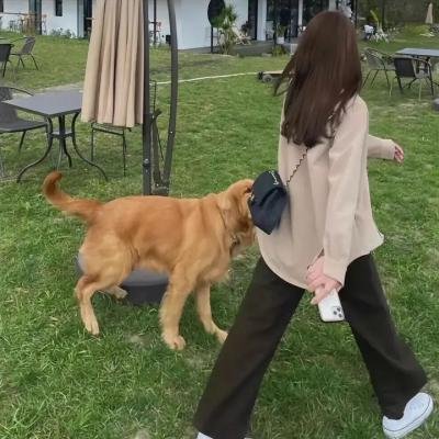 欲女心惊 海报