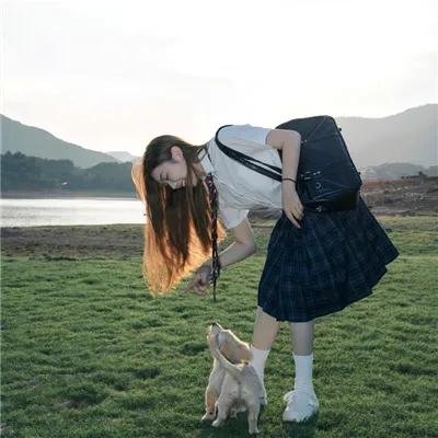 卫斯理之老猫 海报