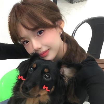 内战圣伯纳犬 海报